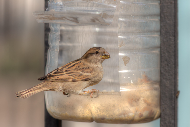 An Exploration of Waste Management Techniques Over the Millennia