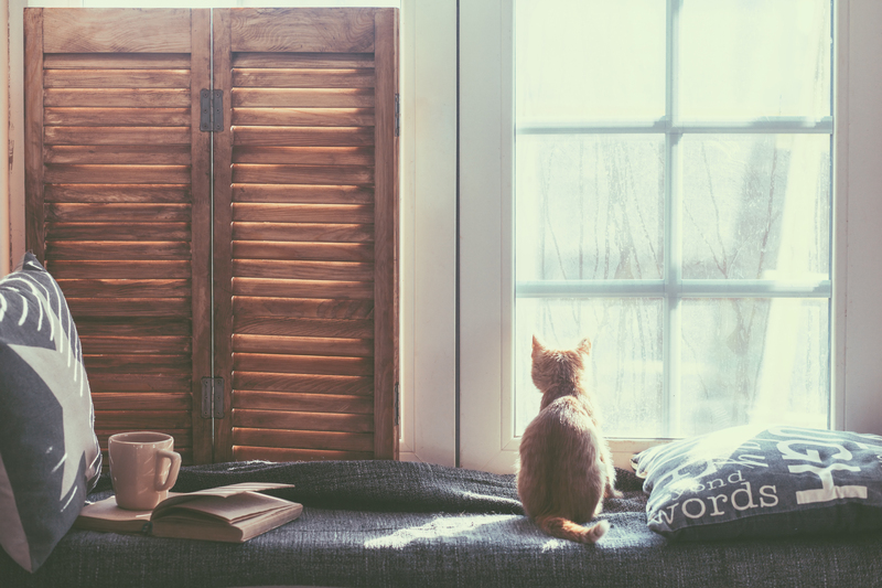 Become a Home Recycling Expert with These Tips