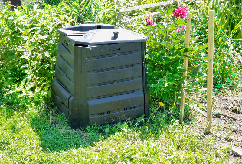 Clear-Out Success: Practical Tips for Managing Clutter Long-Term